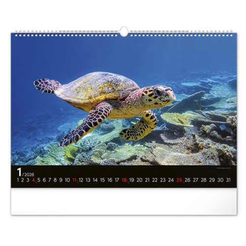 Falinaptár REALSYSTEM 480x330mm fekvő Wildlife 2026.