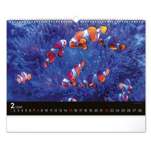 Falinaptár REALSYSTEM 480x330mm fekvő Wildlife 2026.