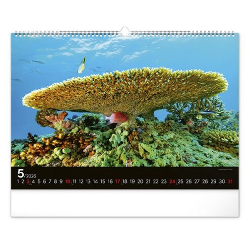 Falinaptár REALSYSTEM 480x330mm fekvő Wildlife 2026.