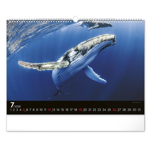 Falinaptár REALSYSTEM 480x330mm fekvő Wildlife 2026.