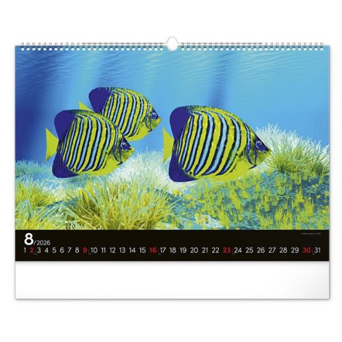 Falinaptár REALSYSTEM 480x330mm fekvő Wildlife 2026.