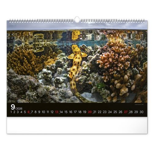 Falinaptár REALSYSTEM 480x330mm fekvő Wildlife 2026.