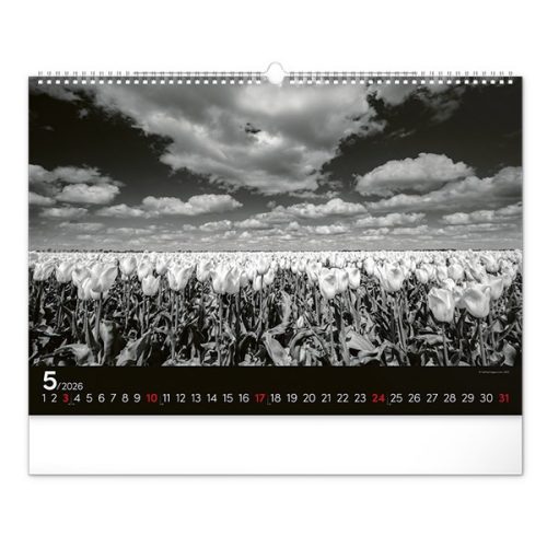 Falinaptár REALSYSTEM 480x330mm fekvő Dreamscapes 2026.