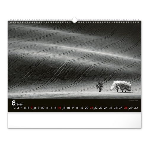 Falinaptár REALSYSTEM 480x330mm fekvő Dreamscapes 2026.