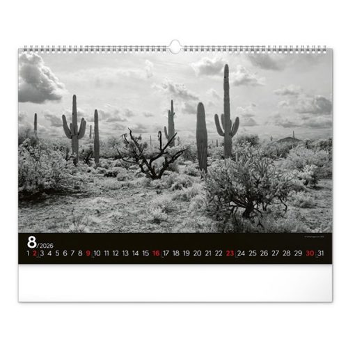 Falinaptár REALSYSTEM 480x330mm fekvő Dreamscapes 2026.