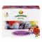 Gyümölcstea GARDENHOUSE erdei gyümölcs 15x2 g